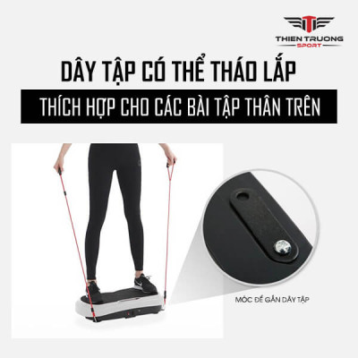 Máy rung toàn thân mini TS21927 - 99 cấp độ rung, kèm dây kéo tập tay, công suất 200W, nhỏ gọn dễ sử dụng