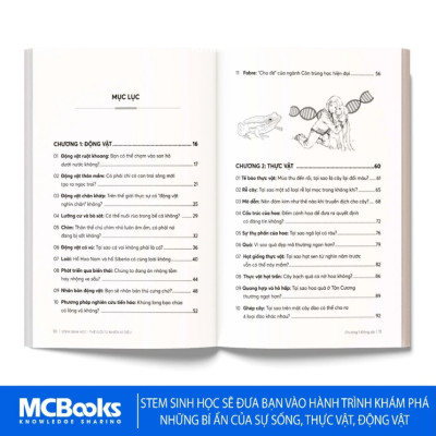 Sách - STEM Dành Cho Học Sinh - Phát Triển Tư Duy Logic, Khám Phá Khoa Học