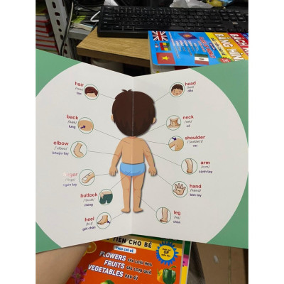 Combo Bách Khoa Bằng Hình Đầu Tiên Cho Bé Theo Chủ Đề - Song ngữ Anh Việt - Quét mã QR nghe đọc