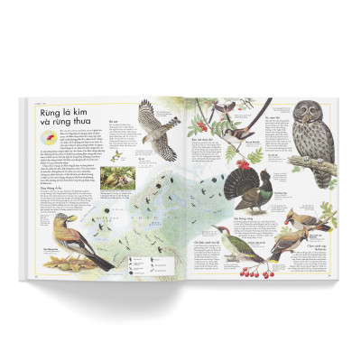 Combo 2 cuốn: Atlas động vật + Atlas các loài chim