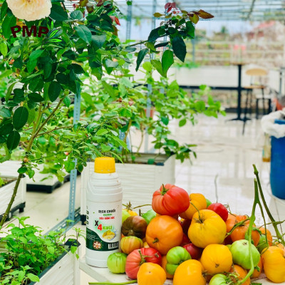 Combo Phân Bón Hữu Cơ Cho Cây Ăn Quả 1 Tricow và 1 Dịch Chuối x4 Kali