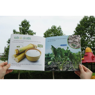 Combo (6 Tập): Healthy eating - Ăn uống lành mạnh