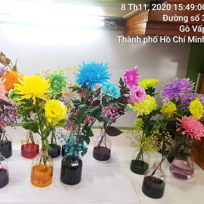 Nước Nhuộm Hoa Tươi Màu Hồng (Set 2 Chai) theo công nghệ Israel Color Sodium For Fresh Flowers giúp nhuộm đổi màu hoa cắt cành thành màu hồng đậm Pink