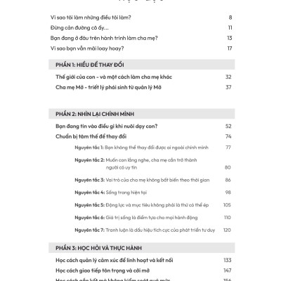 CHA MẸ MỞ CON SẼ ỔN THÔI - Bốn Bước Để Đồng Hành Cùng Con Trong Yêu Thương - TS. Cherry Vũ, Rob England, David Nguyễn - Gamma Books