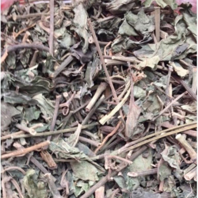 Cây lá lốt phơi khô túi 1kg