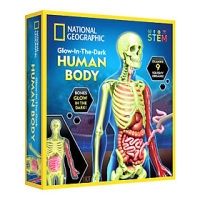 Đồ Chơi National Geographic Khám Phá Bộ Phận Cơ Thể Người STEAM  RTHUMBODY