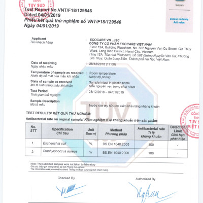 Nước rửa tay hữu cơ diệt khuẩn dạng bọt tinh dầu Quế 1L thương hiệu Ecocare ( tặng kèm vỏ tạo bọt)