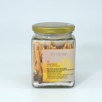 Đông trùng hạ thảo KOVI ký chủ nhộng tằm nguyên con cao cấp | 50 con | Đẹp đẳng cấp sang trọng