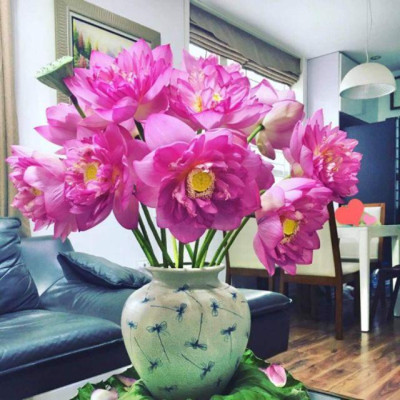 Lọ hoa men rạn vẽ chuồn