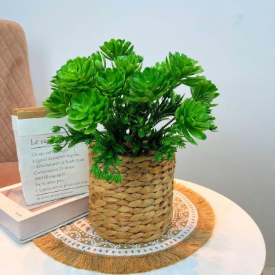 Chậu cây trang trí để bàn kèm giỏ y hình các loại - Cao 35cm đến 48cm - Cây giả, hoa lụa Decor trang trí nhà cửa.