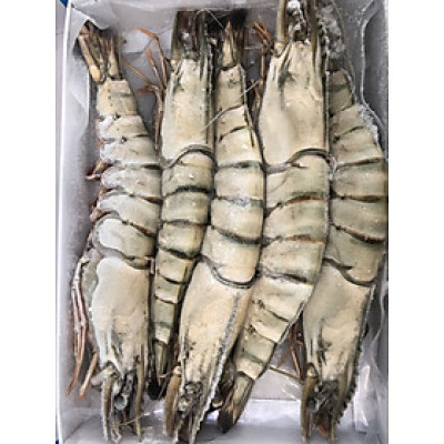 Tôm sú nguyên con sinh thái Seaprodex kích cỡ 5 con/hộp , 500gr