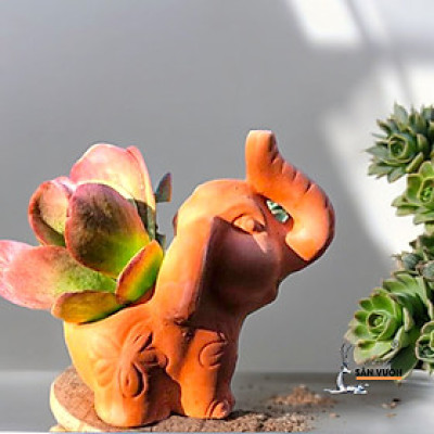 Chậu Gốm Đất Nung (terracotta) Hình Chú VOI TAI TO