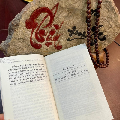 Sách - Thúc Đẩy Giáo Dục Phật Giáo - Nếu Không Phải Chúng Ta Thì Là Ai - Vĩnh Nghiêm Books