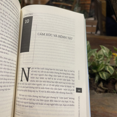 (Tủ sách Hiểu Thực Tại) Bộ tứ Ma trận truyền thông: Nguồn gốc cảm xúc - Bí ẩn sống động của bộ não – Lisa Feldman Barrett - Phương Mạnh dịch – Lyceum – Nxb Dân Trí 