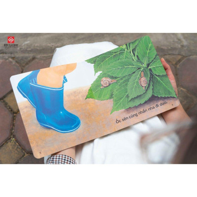 Sách Ehon Ú Òa - Cho Trẻ 0 - 6 Tuổi - Combo 3 Cuốn - Đinh Tị Books