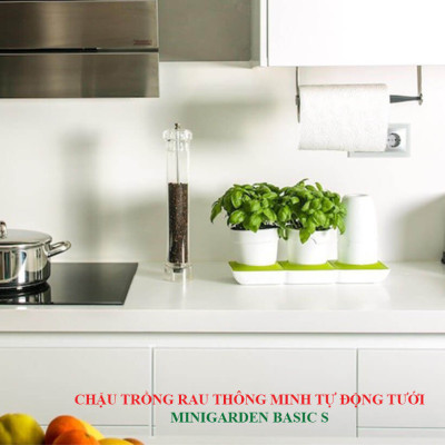 BỘ CHẬU TRỒNG RAU THÔNG MINH TỰ ĐỘNG TƯỚI trong vòng 2 tháng BASIC S, sử dụng 10 năm