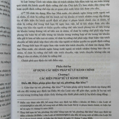 Sách Luật Xử Lý Vi Phạm Hành Chính sđ, bs năm 2025 và Các Văn Bản Hướng Dẫn Thi Hành - V2653TA