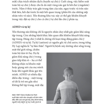 Tâm Lý Học Toàn Thư - Bộ Não Và Tâm Trí