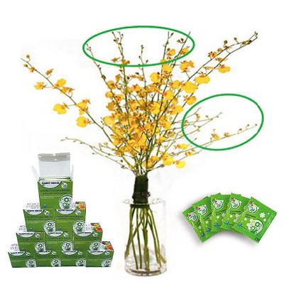 Dung Dịch Cắm Hoa Lan Vũ Nữ Lâu Tàn dạng bột của Israel (Combo 100 gói) giúp hoa lan nở đến nụ cuối cùng và hạn chế đen gốc hoa