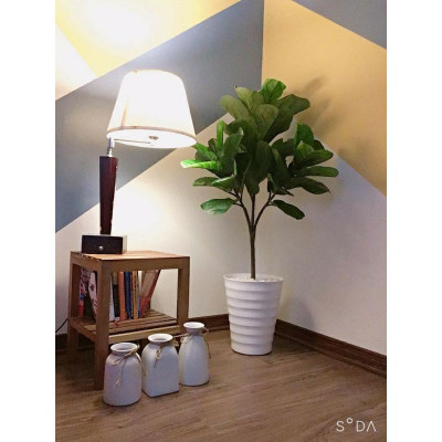 Cây bàng Singapore giả - Size từ 40 cm đến 100cm - Cây giả, hoa lụa Decor trang trí nhà cửa Decor phòng
