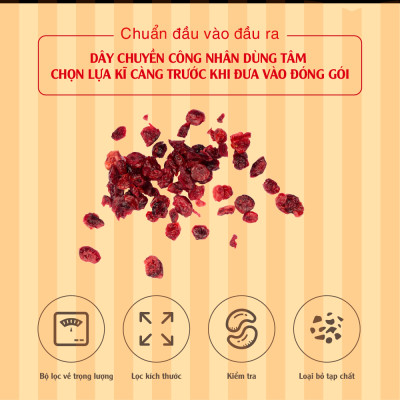Nam Việt Quất Canada 350g Dan D Pak