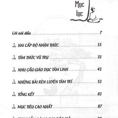 Tâm Bừng Sáng - The Brightened Mind - Hướng Dẫn Đơn Giản Về Thiền Phật Giáo