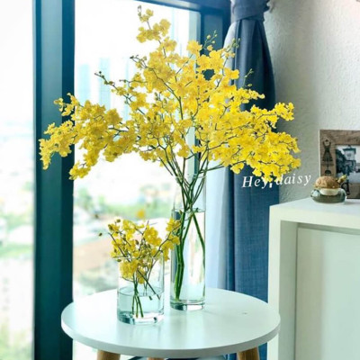 Dung Dịch Cắm Hoa Lan Vũ Nữ Lâu Tàn dạng bột của Israel (Combo 100 gói) giúp hoa lan nở đến nụ cuối cùng và hạn chế đen gốc hoa