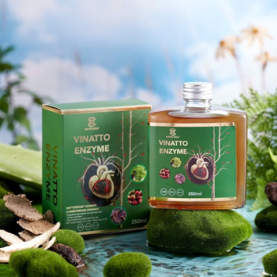 Nước uống Vinatto Enzyme - Bảo vệ sức khỏe tim mạch, giảm cholesterol - Hộp 250ml