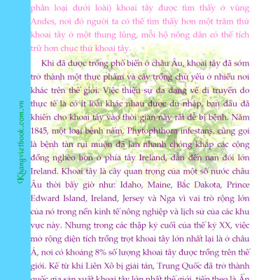 Bí Quyết Thành Công Kĩ Thuật Trồng Khoai Tây Hiệu Quả - KV