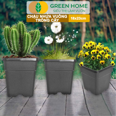 Chậu Vuông Trồng Cây Greenhome, Nhiều Kích Thước, Nhựa Cứng, Thoát Nước Tốt, Trồng Hoa, Kiểng Lá