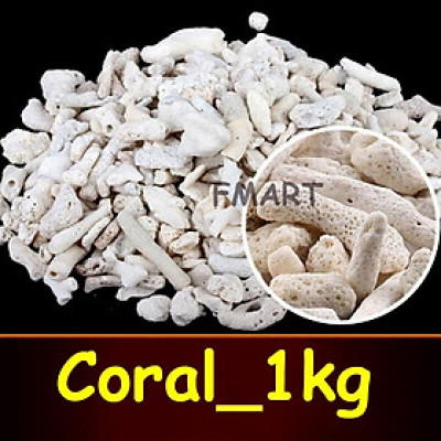 San Hô Vụn túi 1KG vật liệu lọc hồ cá, trang trí bể cá, hồ thủy sinh