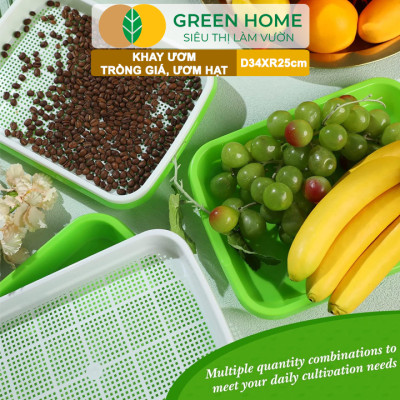 Khay Trồng Rau Greenhome, D34xR25xC5cm, Nhựa Nguyên Sinh, An Toàn, Chuyên Trồng Giá, Rau Mầm Tại Nhà, Không Cần Đất