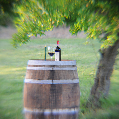 Rượu vang Ý ABVNDANTIA Negroamaro I.G.P Puglia (Italia) kèm túi hộp,đồ khui 