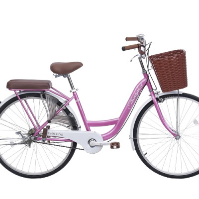 Xe đạp Thống Nhất mini New 26-Hàng chính hãng