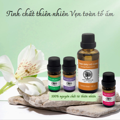 Combo Tinh Dầu Áo Quần Thơm Tho Nano Cinnamon - Bạc Hà, Cam, Lavender, 30ml