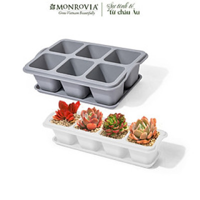 Chậu trồng sen đá MONROVIA, kèm đĩa lót, trồng cây mini, bonsai, xương rồng, decor bàn làm việc