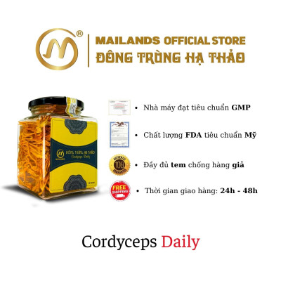 COMBO 4 hộp Đông Trùng Hạ Thảo MaiLands Cordyceps Daily 4 hộp x 15gr