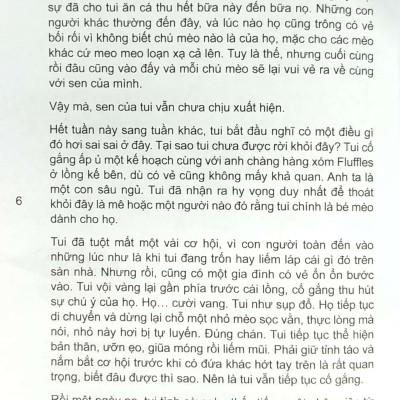 Mèo Con Phiêu Lưu Ký