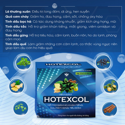 Viên Ngậm Thanh Họng Hotexcol Giúp Giảm Ho - Dịu Thanh Quản - Giảm Đau Rát Do Ho Hộp 10 vỉ x 4 viên