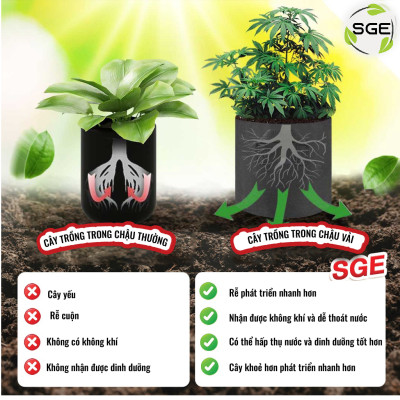 Chậu Vải Trồng Cây GB Cây Sinh Trưởng Nhanh Hơn Cây Trồng Trong Túi Hoặc Chậu Nhựa Phổ Biến Trong Kinh Doanh Nông Nghiệp SGE