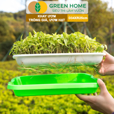 Khay Trồng Rau Greenhome, D34xR25xC5cm, Nhựa Nguyên Sinh, An Toàn, Chuyên Trồng Giá, Rau Mầm Tại Nhà, Không Cần Đất