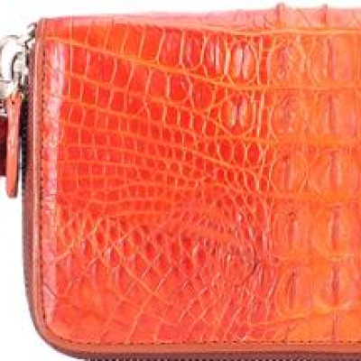 Ví Nữ Da Cá Sấu Nhiều Ngăn Gai Huy Hoàng HT3279 (11 x 22 cm) - Vàng