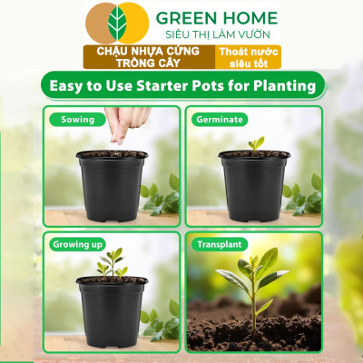 Bộ 3 Chậu nhựa trồng cây, nhiều kích thước, thoát nước tốt, đa dạng kích thước trồng cây, hoa, kiểng lá |Greenhome