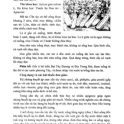 Bách Khoa Những Cây Thuốc Và Vị Thuốc Việt Nam