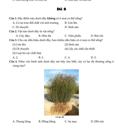 100 Đề Kiểm Tra Sinh Học 6