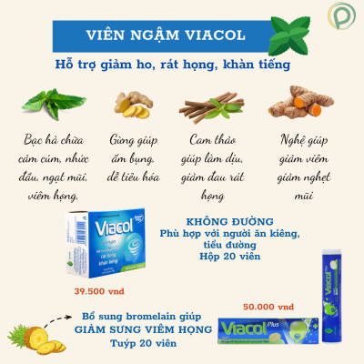 Kẹo ngậm Viacol Plus Vietnat giảm ho đau họng - tuýp 20 viên