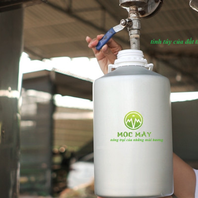 Tinh dầu Tràm gió Organic hữu cơ 100ml Mộc Mây - tinh dầu thiên nhiên nguyên chất 100% - dùng xông tắm ngừa cảm lạnh, ngừa côn trùng cắn đốt cho Bé, Trẻ sơ sinh và Trẻ nhỏ | An toàn cho làn da nhạy cảm của Bé