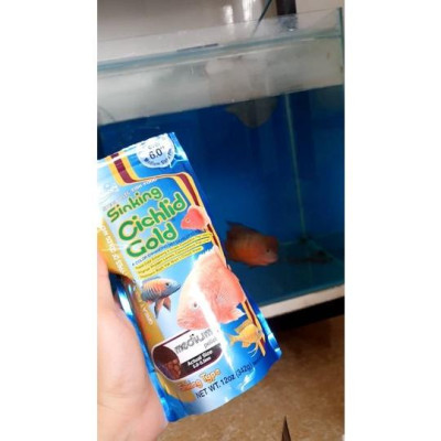Thức ăn cá HIKARI SINKING CICHLID GOLD Medium 342G - cám hồng két, ali, tai tượng, la hán-thức ăn cá cảnh-shopleo