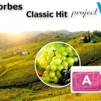 [VOUCHER 200K & TẶNG 5 TÚI PV ZIP] Thực Phẩm Sức Khoẻ CH+A | V Alphabet - Năng lượng mạnh mẽ, Chống oxy hóa tự nhiên - PROJECT V - Xuất xứ Pháp, Hàng Chính Hãng