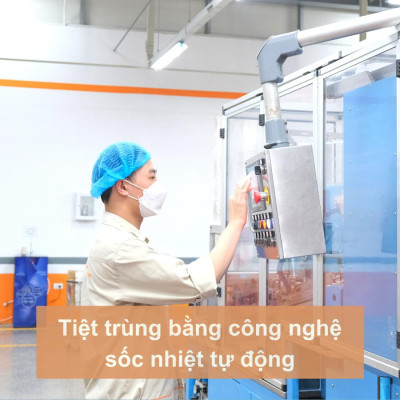 [Lố 12 túi] Tăm bông vệ sinh người lớn NOVA thân nhựa [TB01-014] túi 100 que